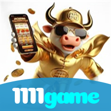 Segurança no 1111game