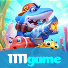 Segurança no 1111game